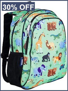 15-Inch Kids Backpack with Padded Straps & Water Bottle Pocket